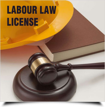 Labour Law Licensing Services Consultants in Malerkotla